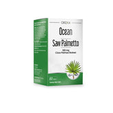 OCEAN SAW PALMETTO