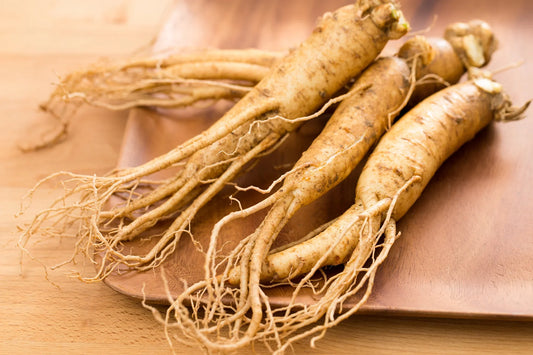  health benefits of Panax Ginseng